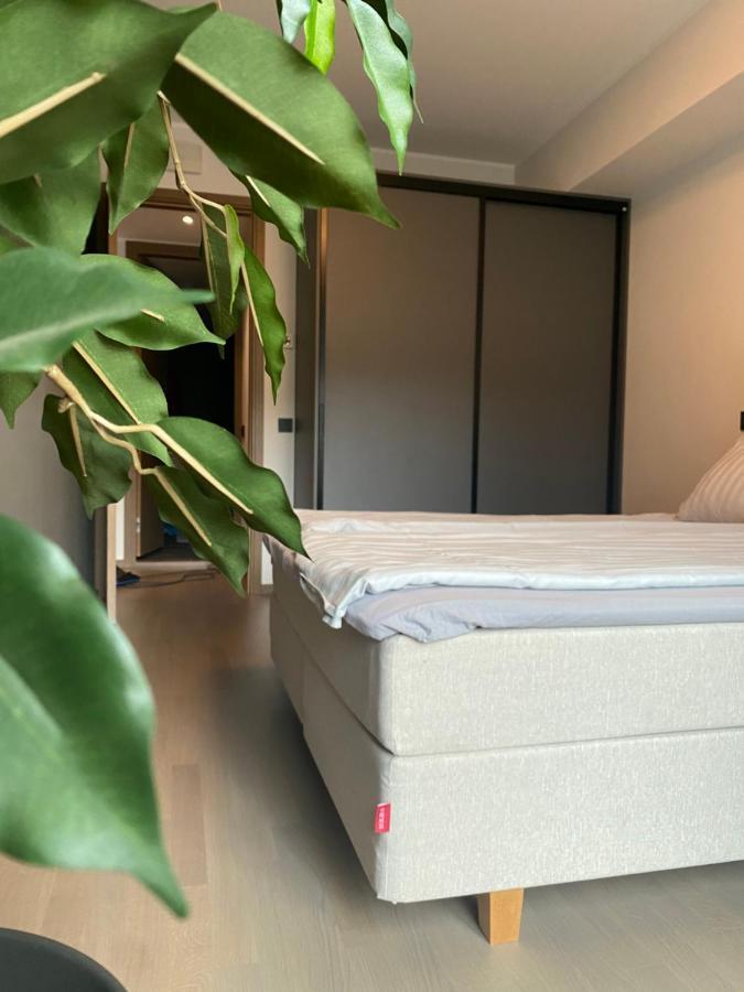 Tonismae Premium Apartment With Sauna 塔林 外观 照片